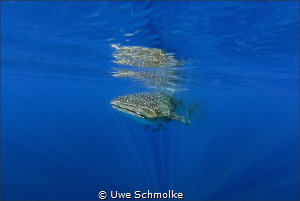 Riding the light beam by Uwe Schmolke 